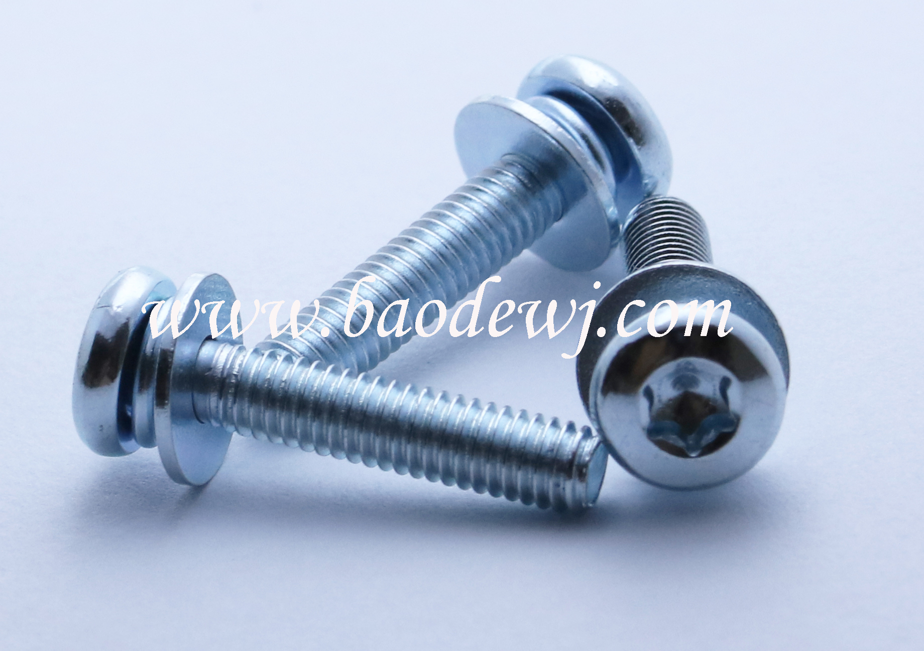 Orchid zinc washer screw